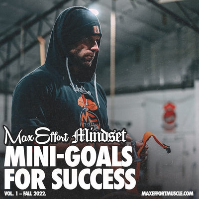 #260 Mini-Goals for Success